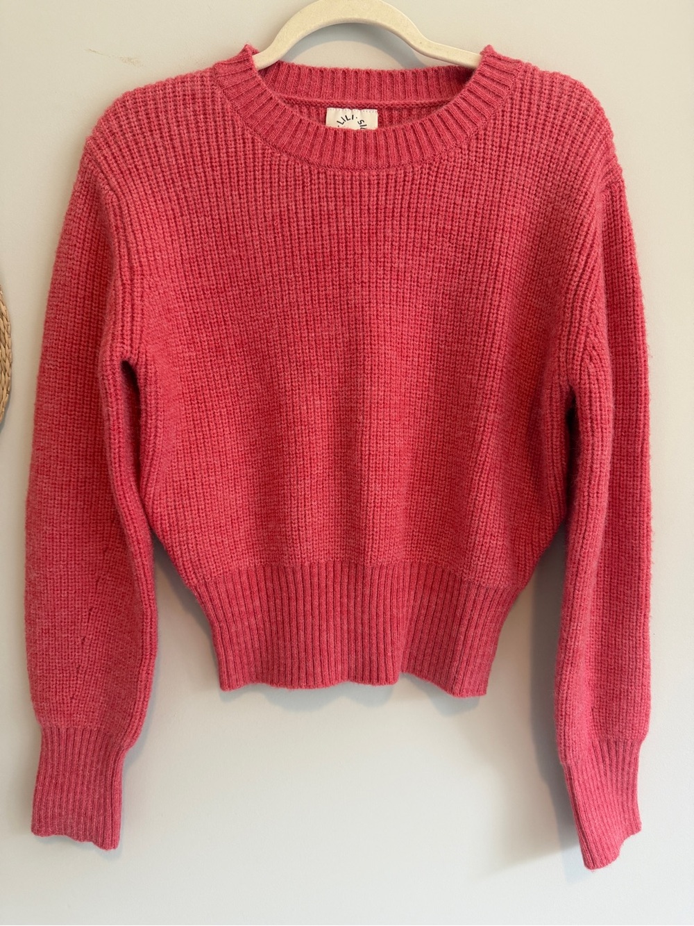 Cropped Crewneck Sweater Raspberry Arty Urban Pop 🍓 Molly Bracken Anthropologie